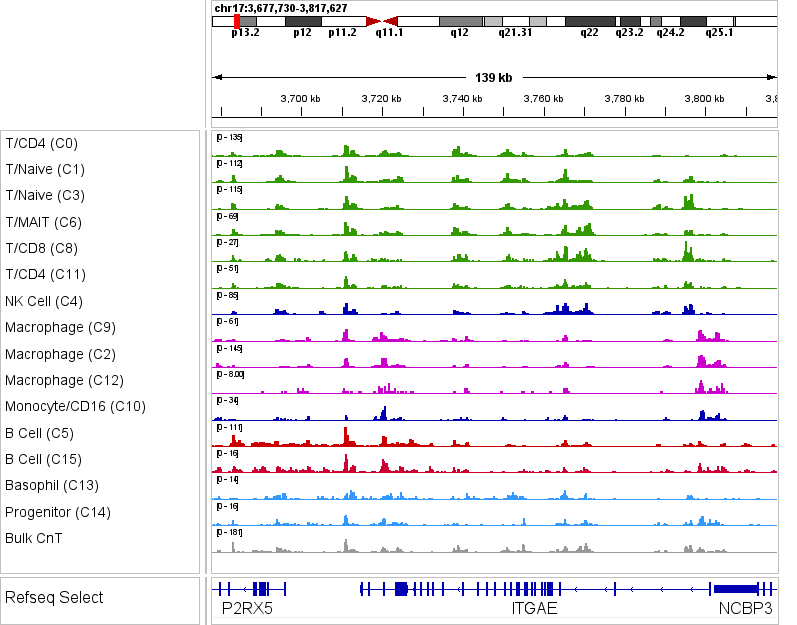 IGV browser tracks of cell-level pseudobulk from Droplet scCUT&Tag