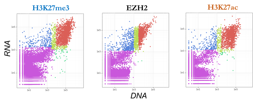 Multiplex Paired-Tag