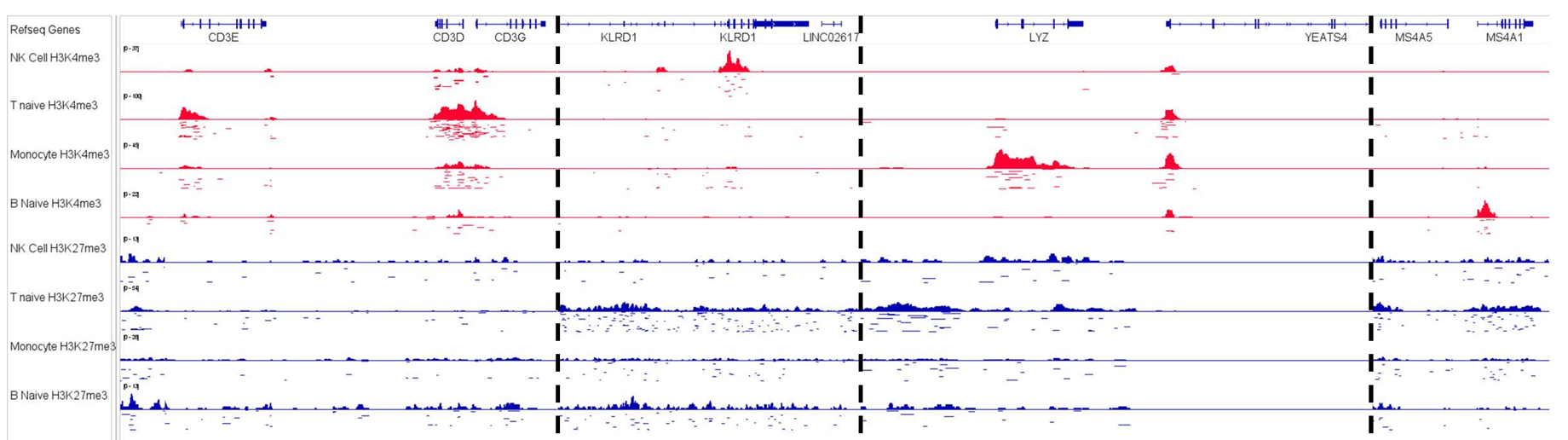 IGV tracks from single-cells