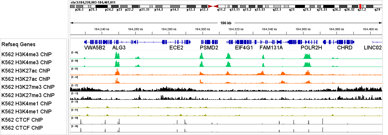 ChIP-seq multi-target tracks in K562 cells