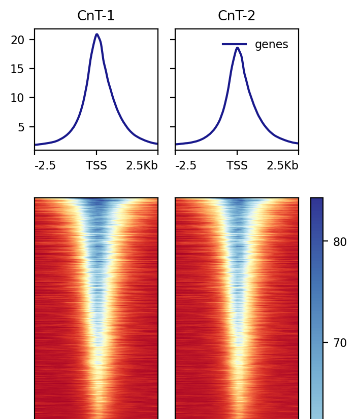 TSS enrichment for H3K4me3 CUT&Tag