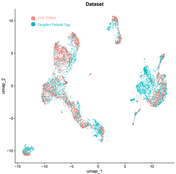 Integration workflow showing data harmonization across single-cell modalities