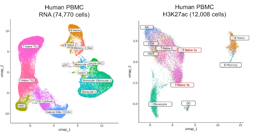 UMAP visualization showing integrated RNA and chromatin clustering from Paired-Tag data