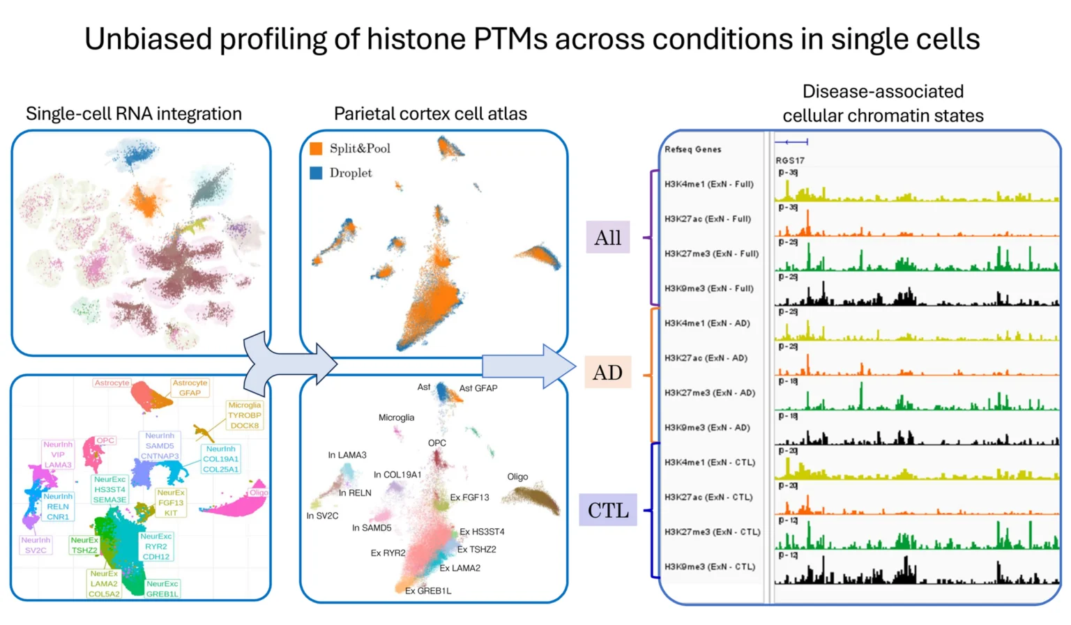 Multi-panel figure depicting single-cell integration and pseudobulk analysis in AD brain