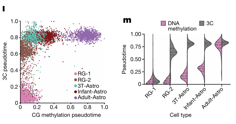 Two-panel figure showing relationship between DNA methylation and chromatin conformation