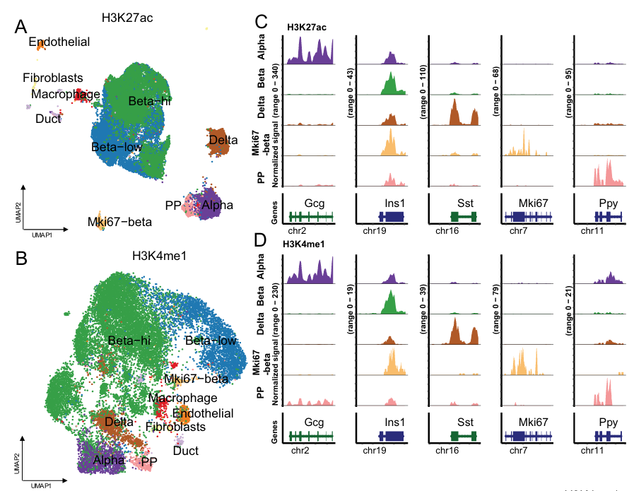 Multi-panel figure showing single-cell UMAPs built from histone marks, and corresponding IGV tracks