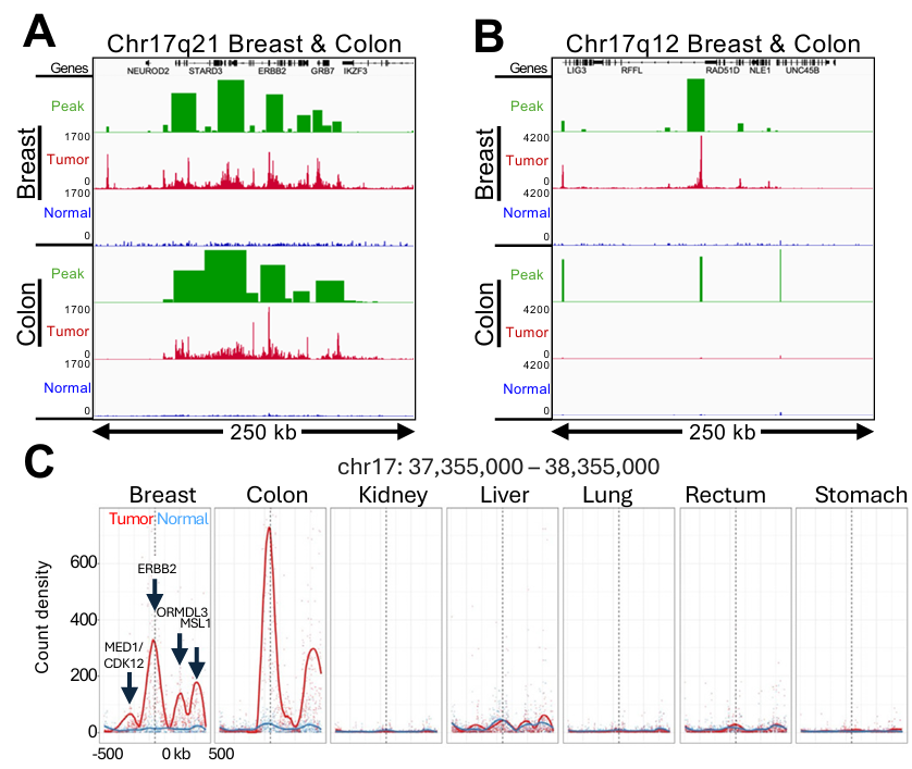Browser tracks and density peaks for tumor vs normal across tissues.