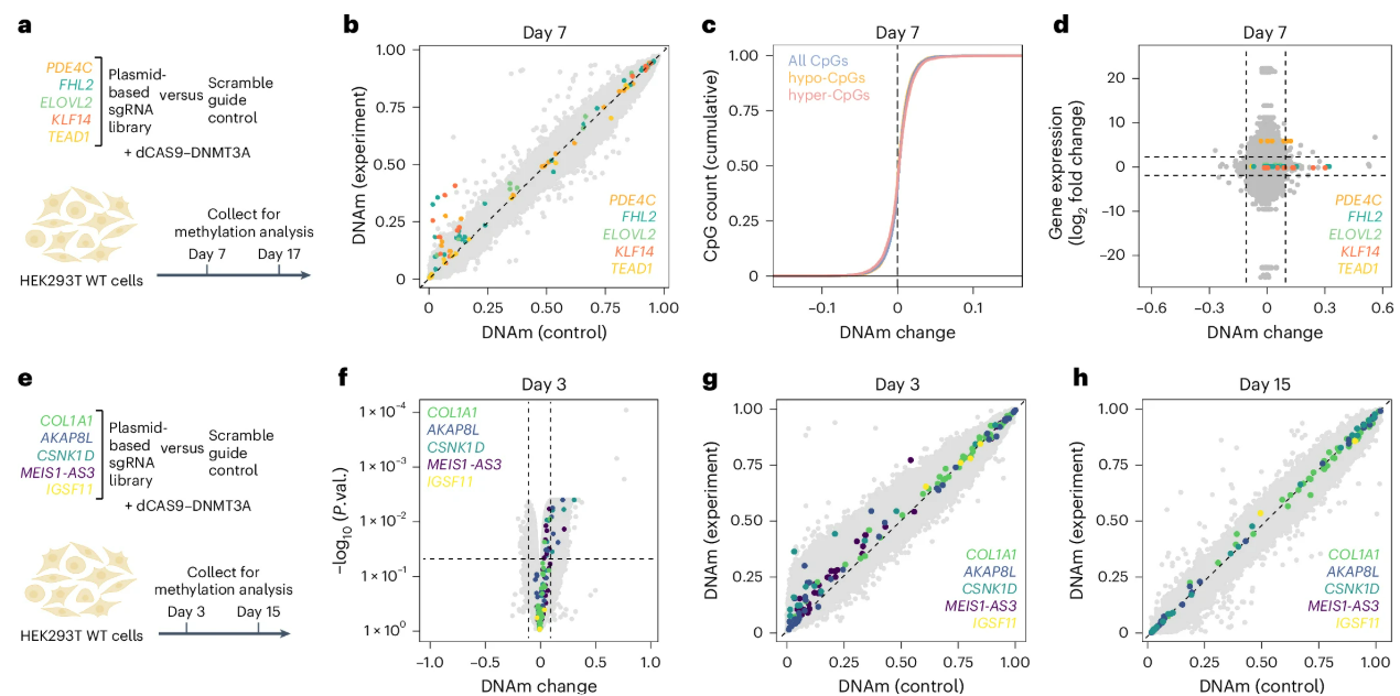 sgRNA screen DNAm scatter, volcano, and expression plots.