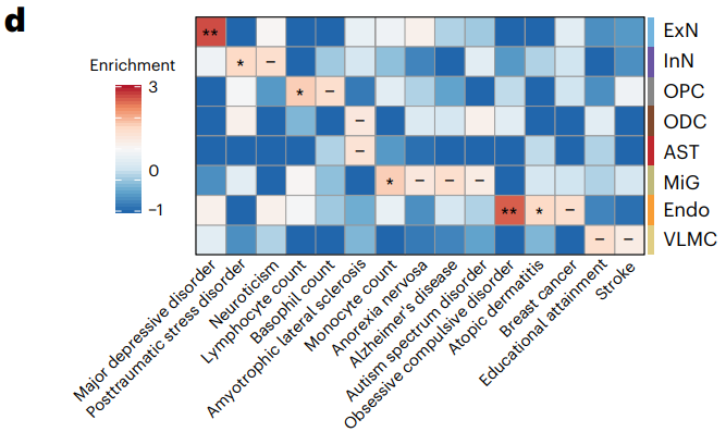 Disease GWAS enrichment heatmap across cell types.