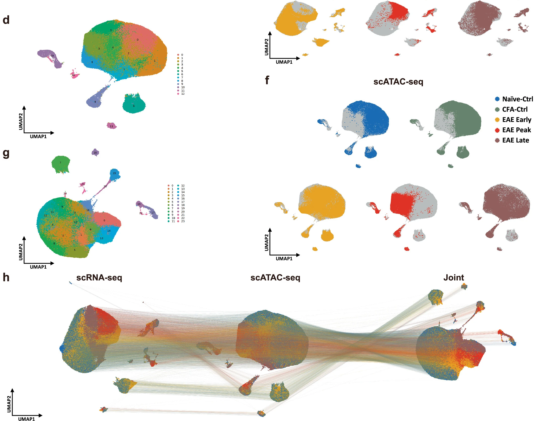 Epigenetic Analysis of Multiple Sclerosis Progression